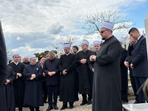 viber image 2026 03 21 17 05 25 244